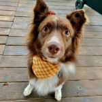 Profile picture of Marissa Keiser